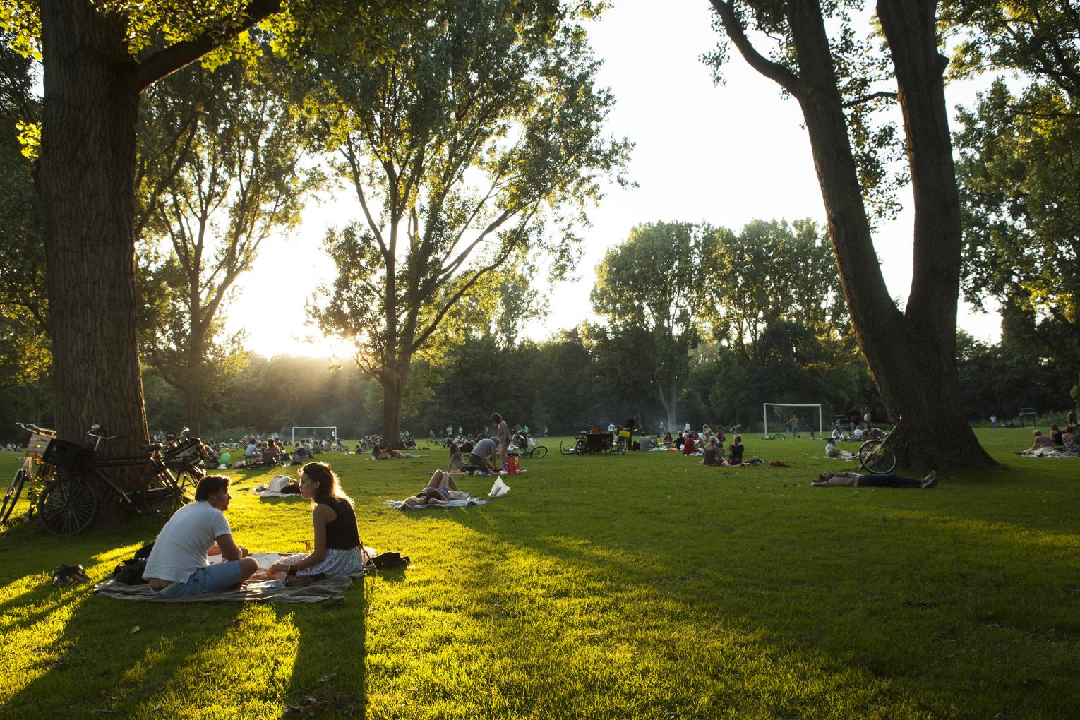 Erasmuspark in Amsterdam, picnic location hotspot