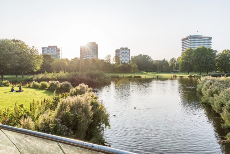 Rembrandtpark in Amsterdam, picnic location hotspot
