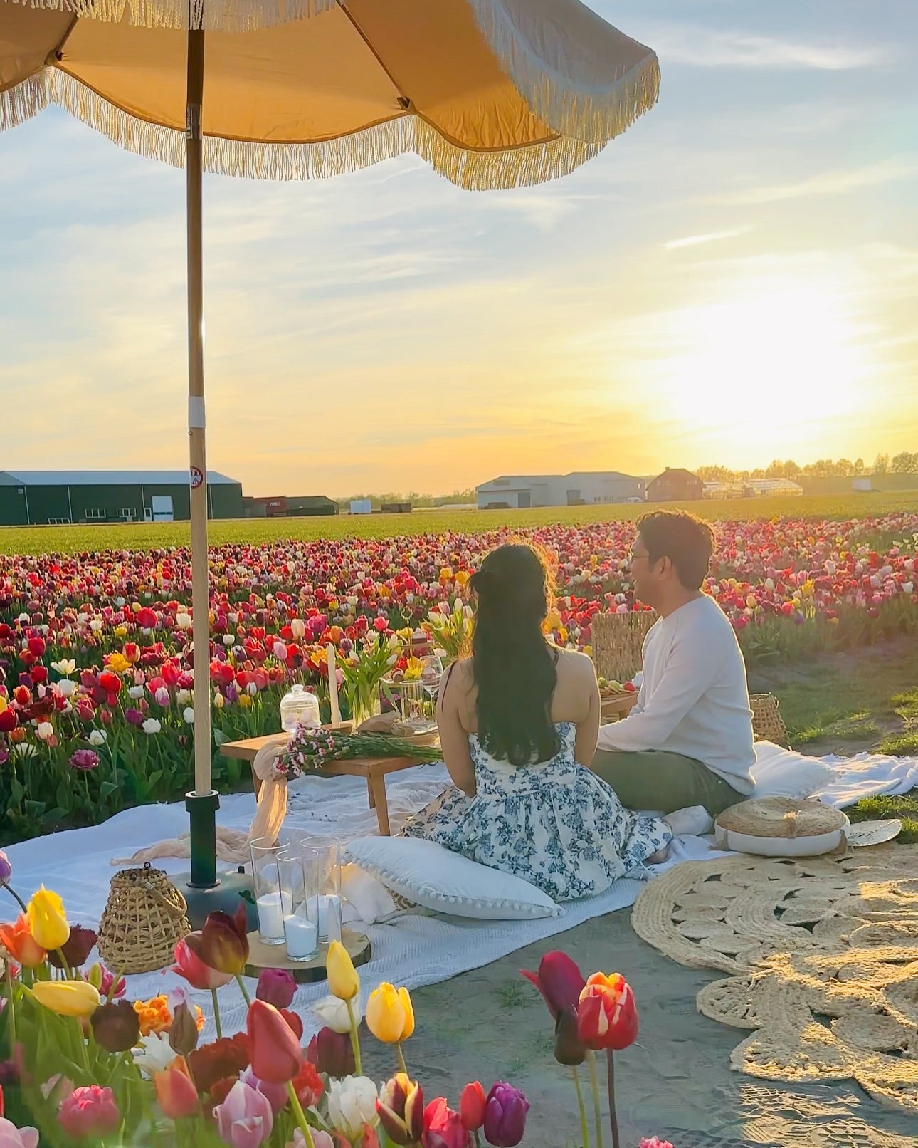 Pick Your Picnic