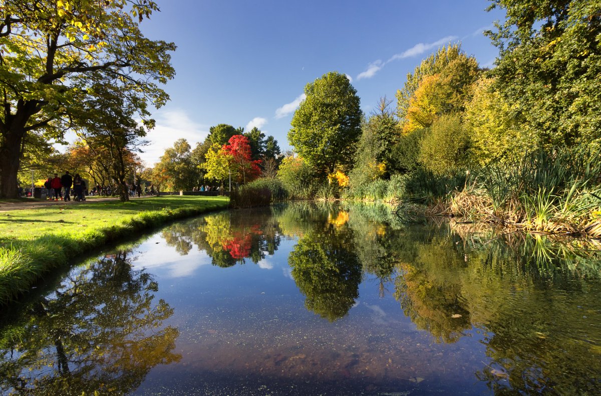 Vondelpark in Amsterdam, picnic location hotspot